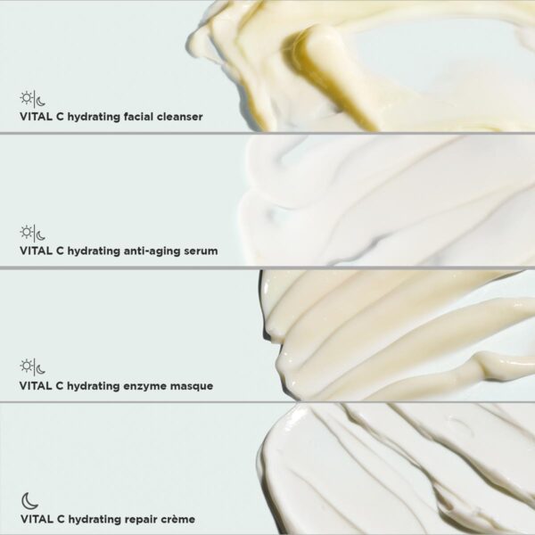 Vital C Trial Kit - Image 2